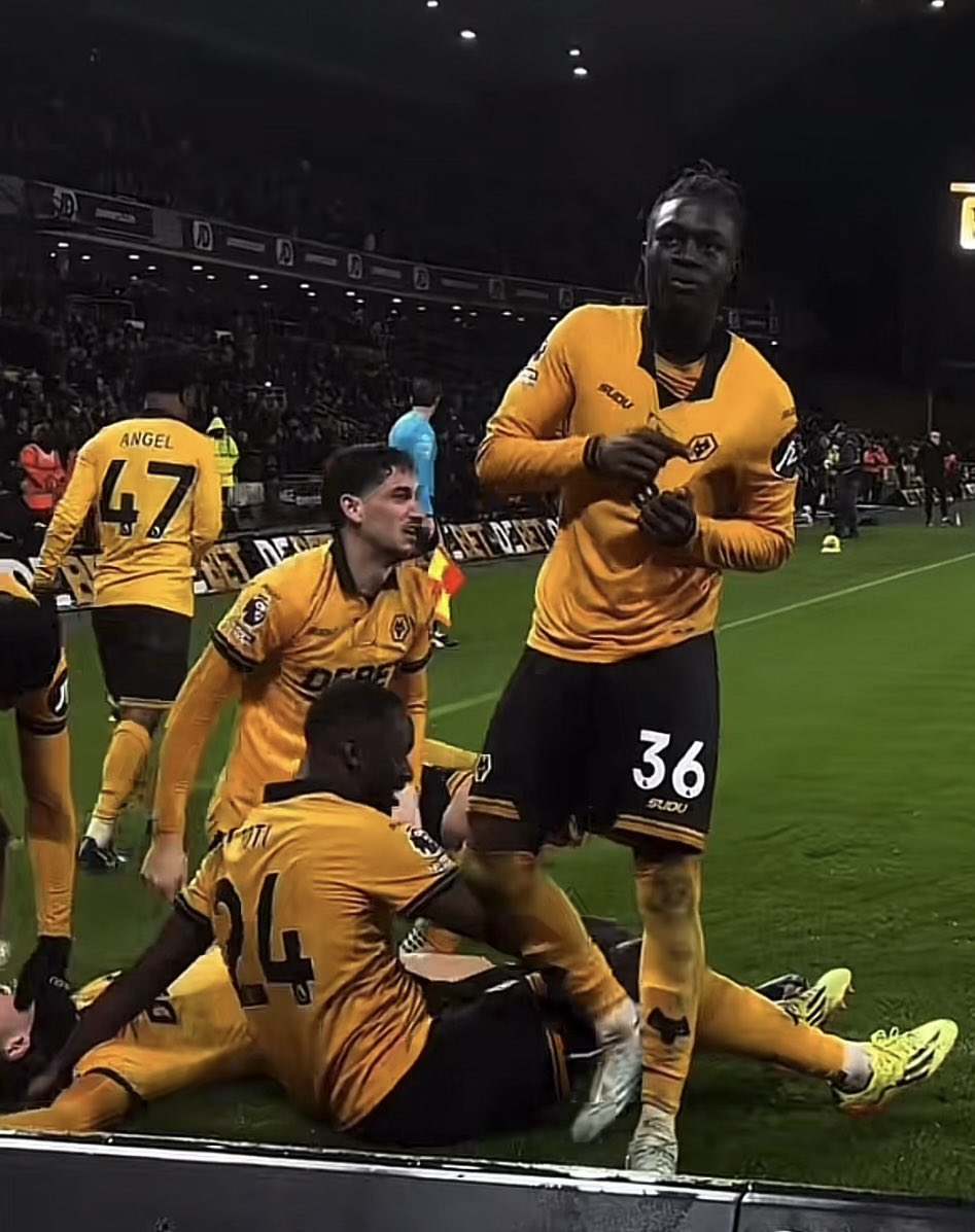 Official Wolves Fans tweet media