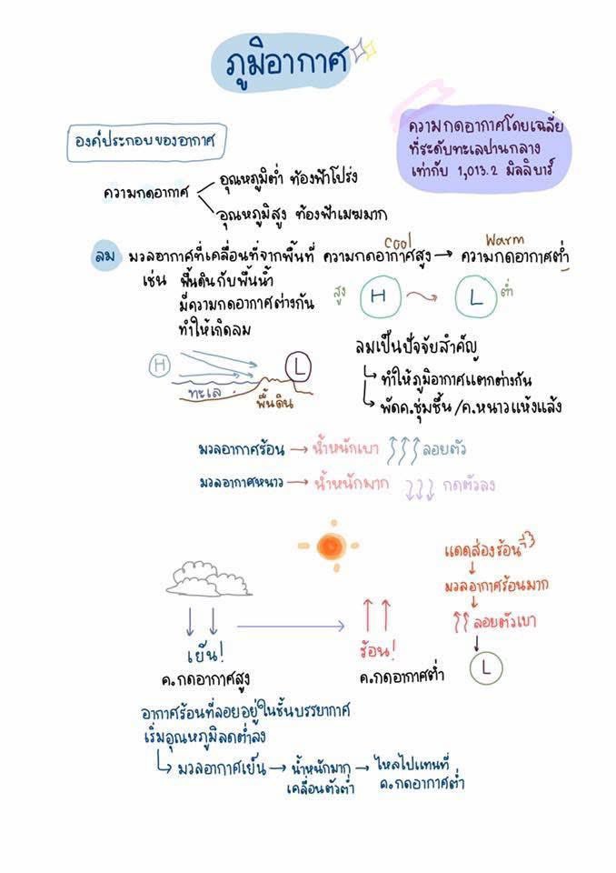 ชีทสรุปปลาวาฬ TCAS🐳 tweet media