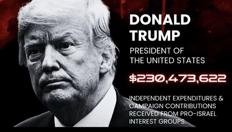 Chris Nelson 🏝️🇺🇸 tweet media