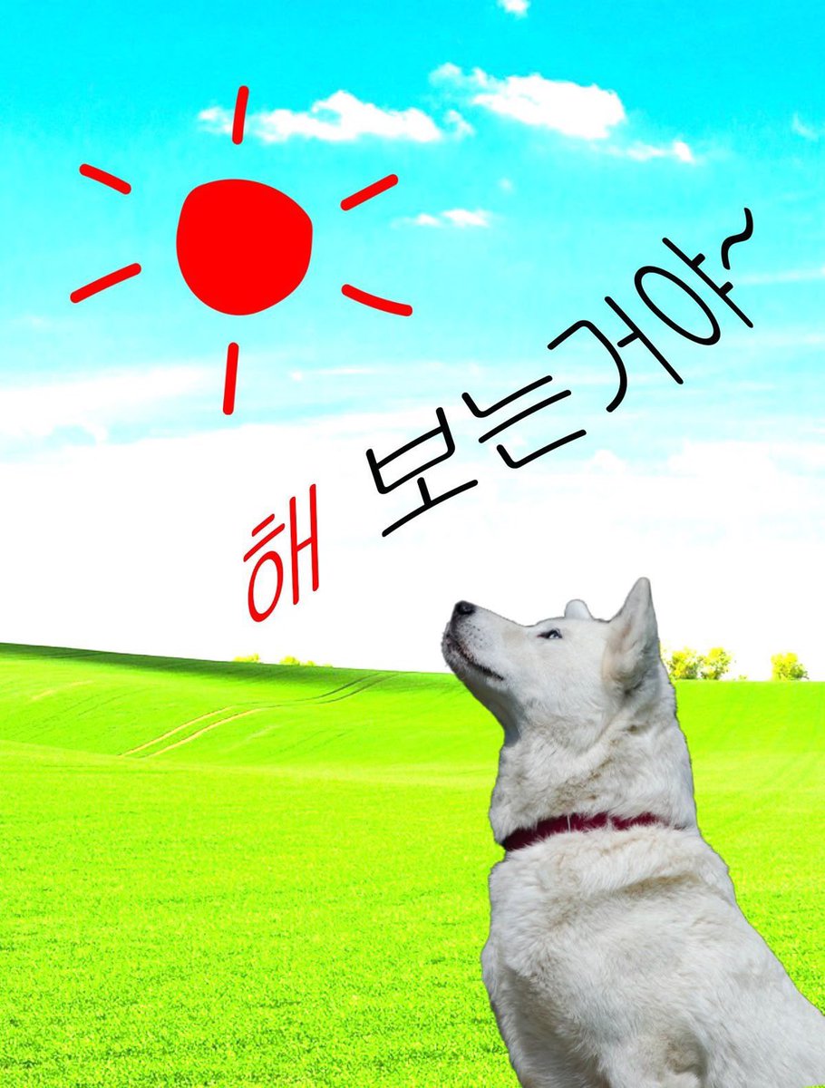 ttoorrii27's tweet photo. #블루레이디 #블루레이디_트친소 #블루레이디트친소

3월 맞이해서 다시 열심히 계정 굴리고자 모읍니다 .. 🙌
우리 같이 즐겨서 3월에는 정직원 해요 !!
흔적 남겨주시면 다 갈게요 (ONLY여자만) https://t.co/XMkL4Mr2q9