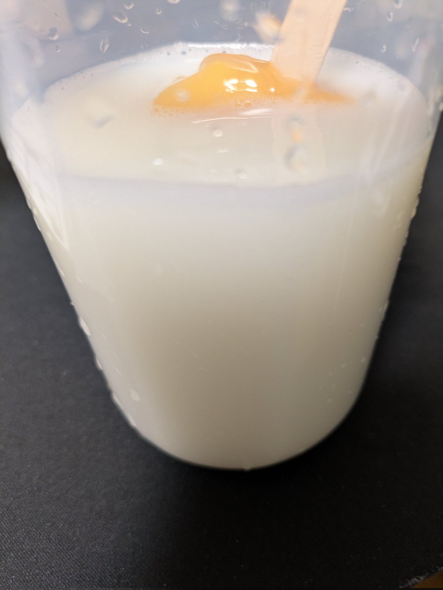 大人の血糖値スパイクセット