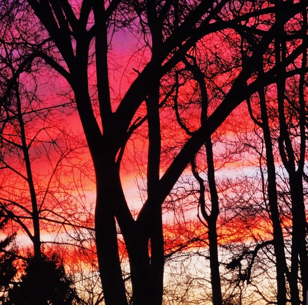 Maria Carvalho tweet media