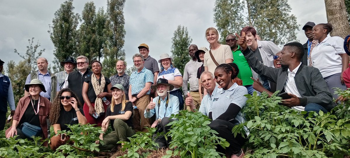 PDD(Peace and Durable Development) tweet media