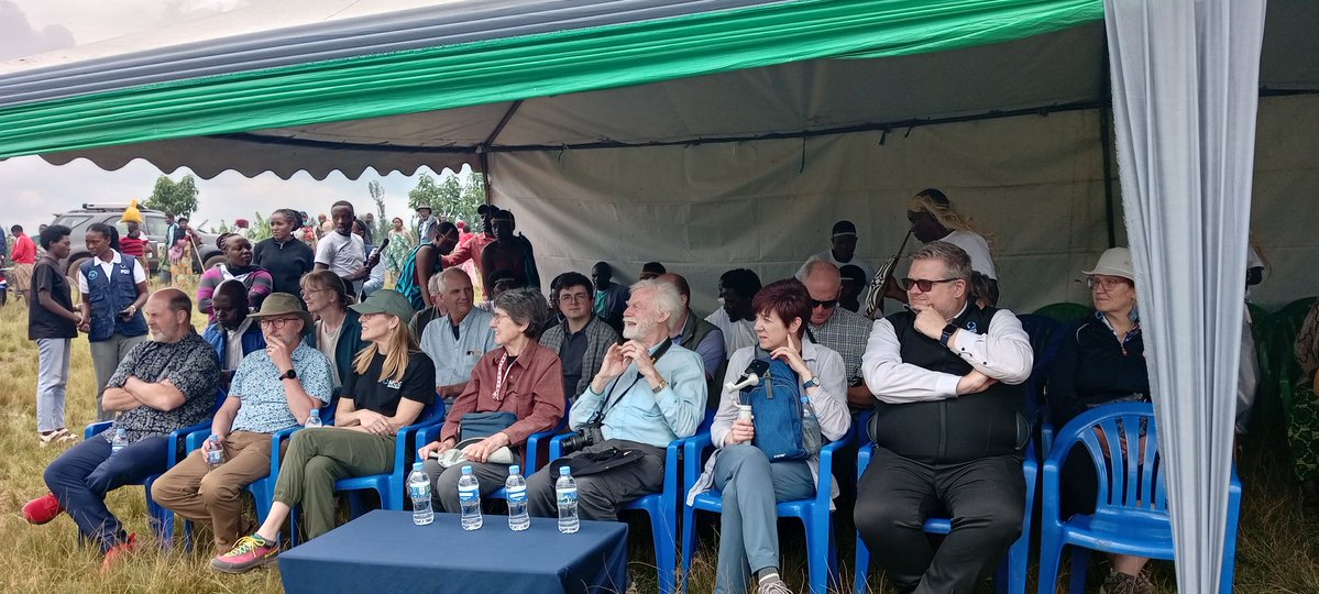 PDD(Peace and Durable Development) tweet media