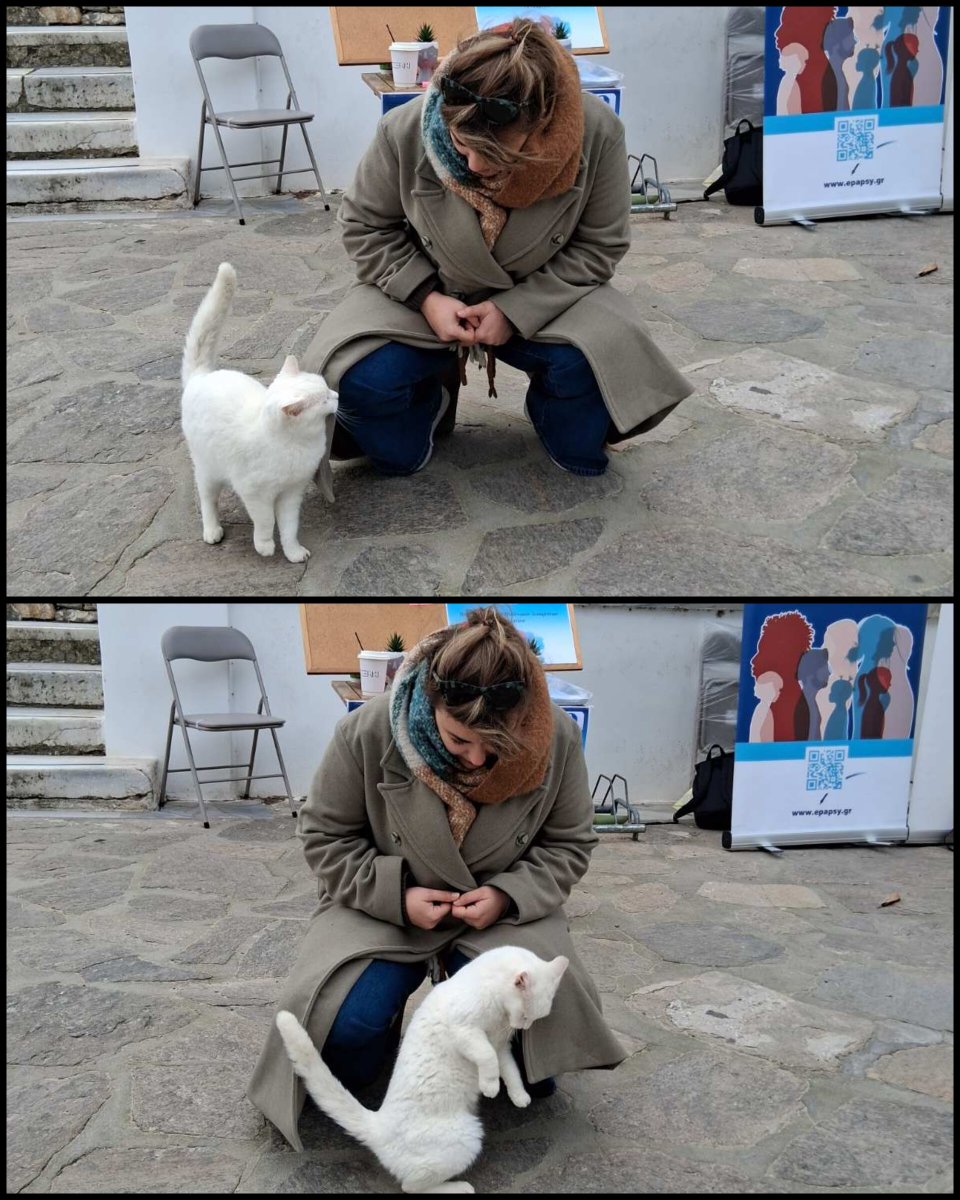 EPAPSY ΕΠΑΨΥ tweet media