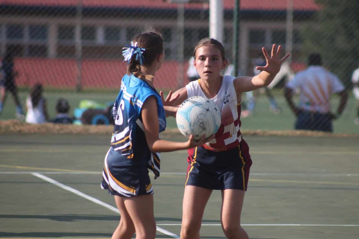 CAXTON SCHOOLS | Over 1 000 young netball stars from more than 135 schools showcased skill, teamwork, and sportsmanship at Krugersdorp High’s Best of the West Netball Festival.

#CaxtonSchools #BestoftheWest #KHS

citizen.co.za/krugersdorp-ne…
