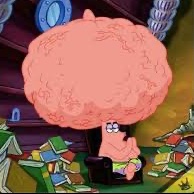 _gurusandhu_'s tweet image. lowkey if theres no newsletter this month then maybe the release date announcement could be right around the corner of April like last time