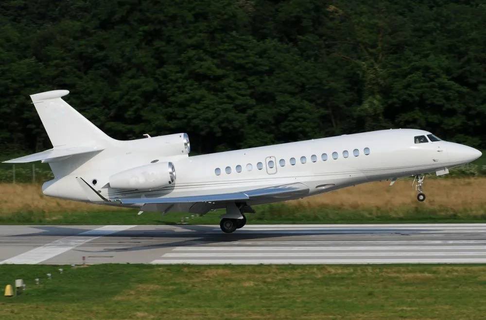 Elisa (optimism/acc) tweet media