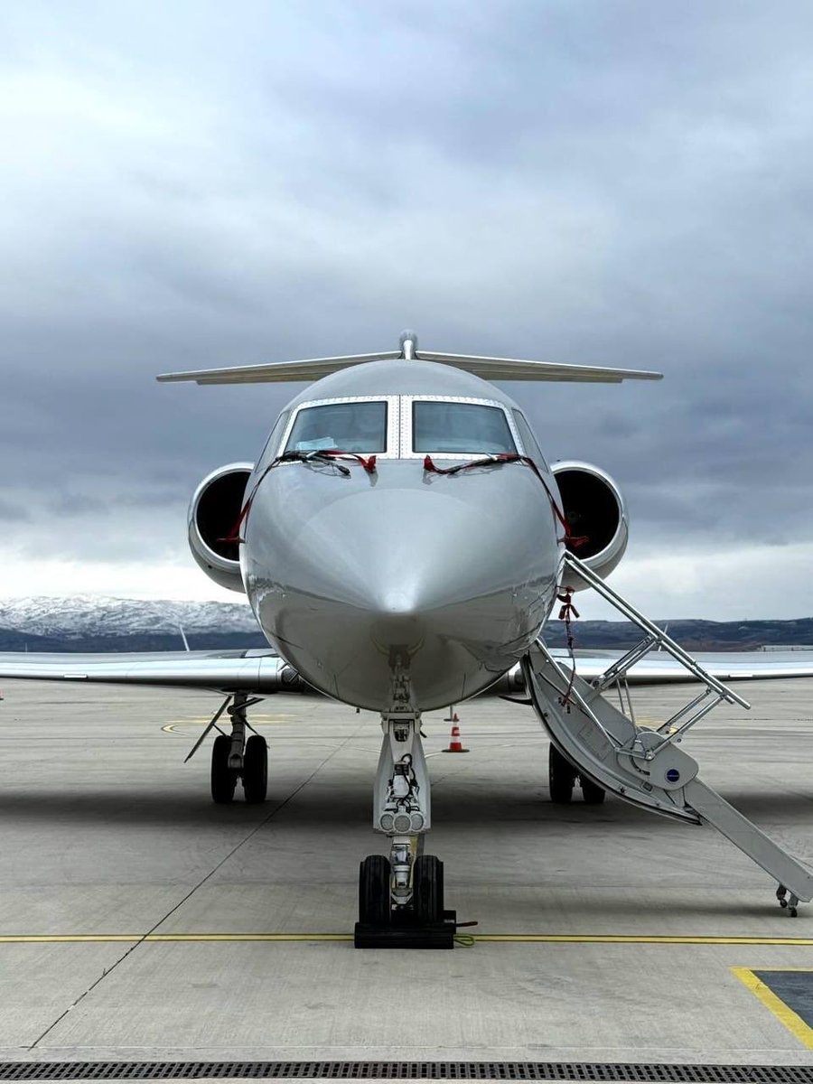 Elisa (optimism/acc) tweet media