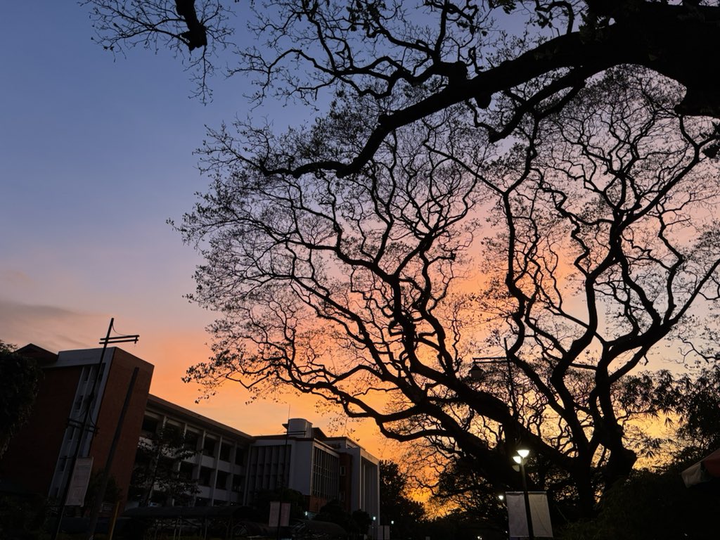 june 🌼 tweet media