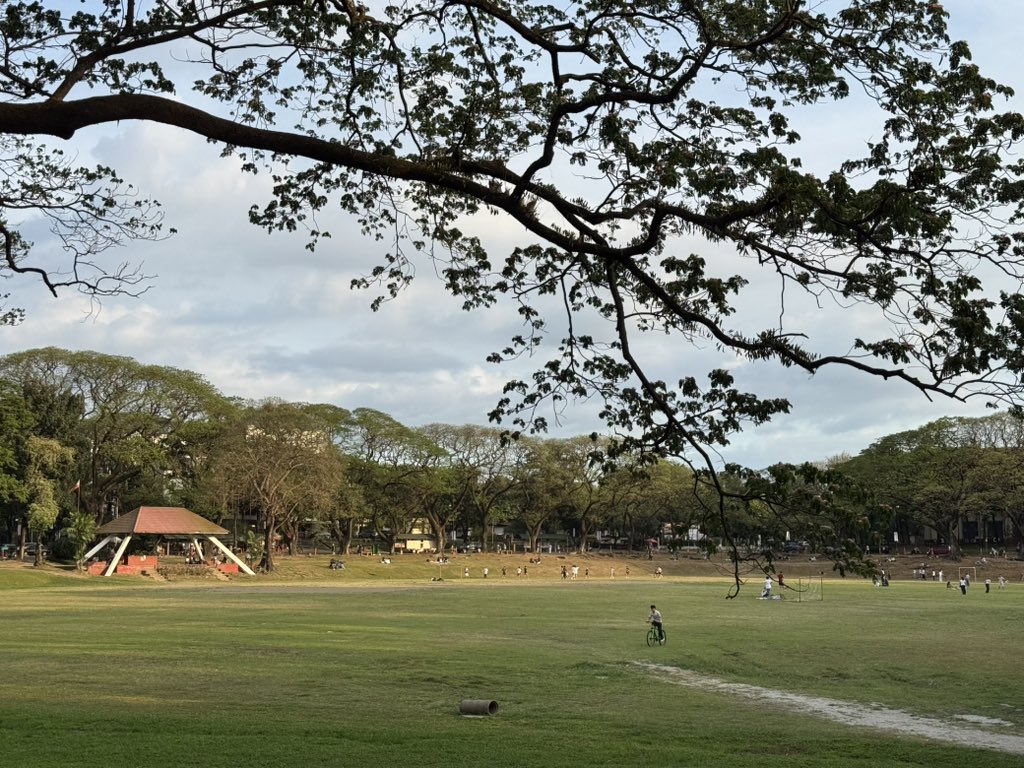 june 🌼 tweet media