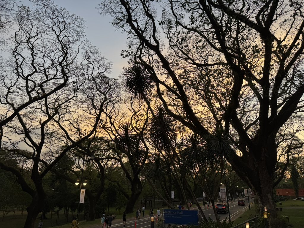 june 🌼 tweet media