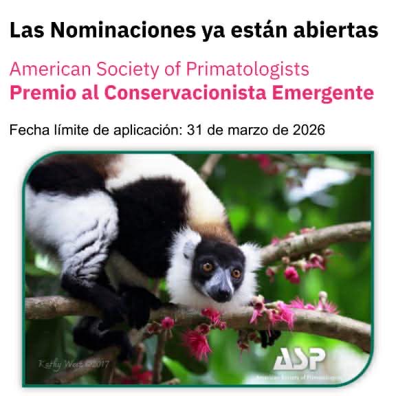 AmSoc Primatologists tweet media