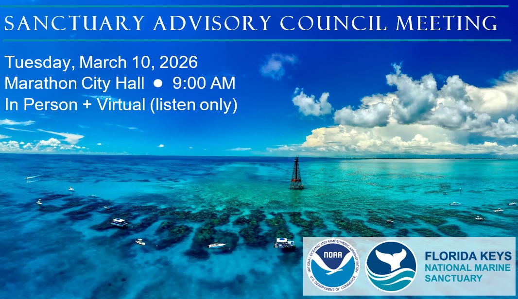 NOAA Florida Keys NMS tweet media