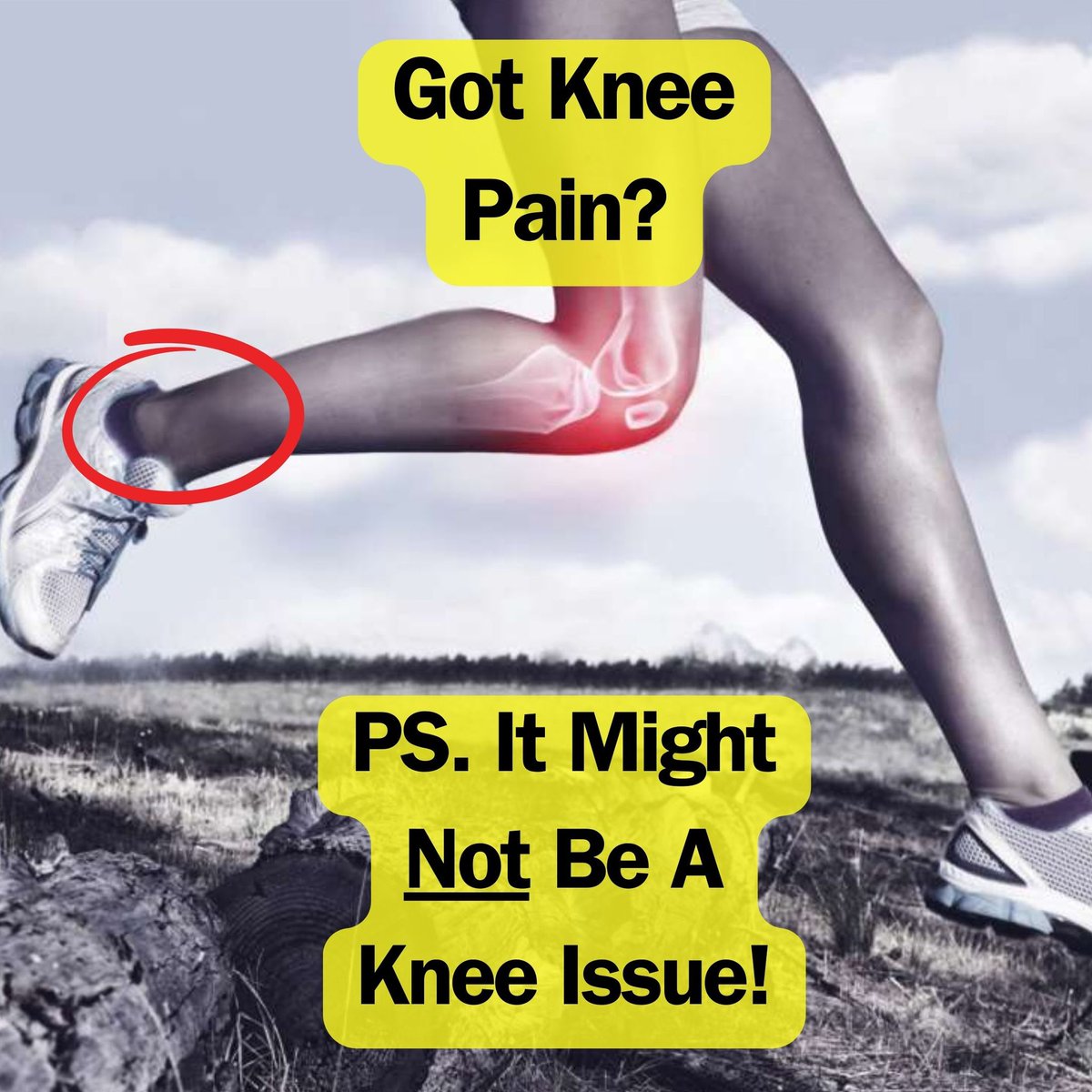 Perform Ready Physiotherapy tweet media