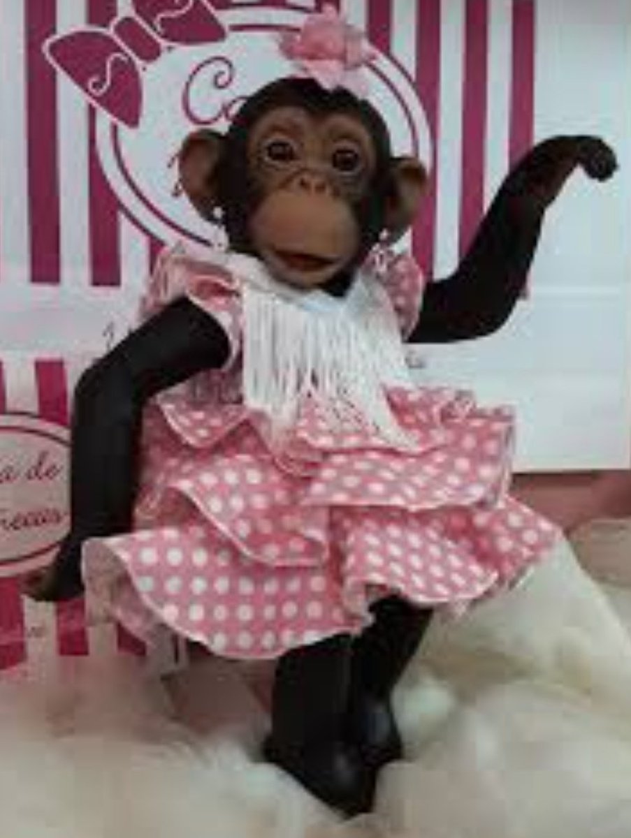 CabreadoNumero1 tweet media