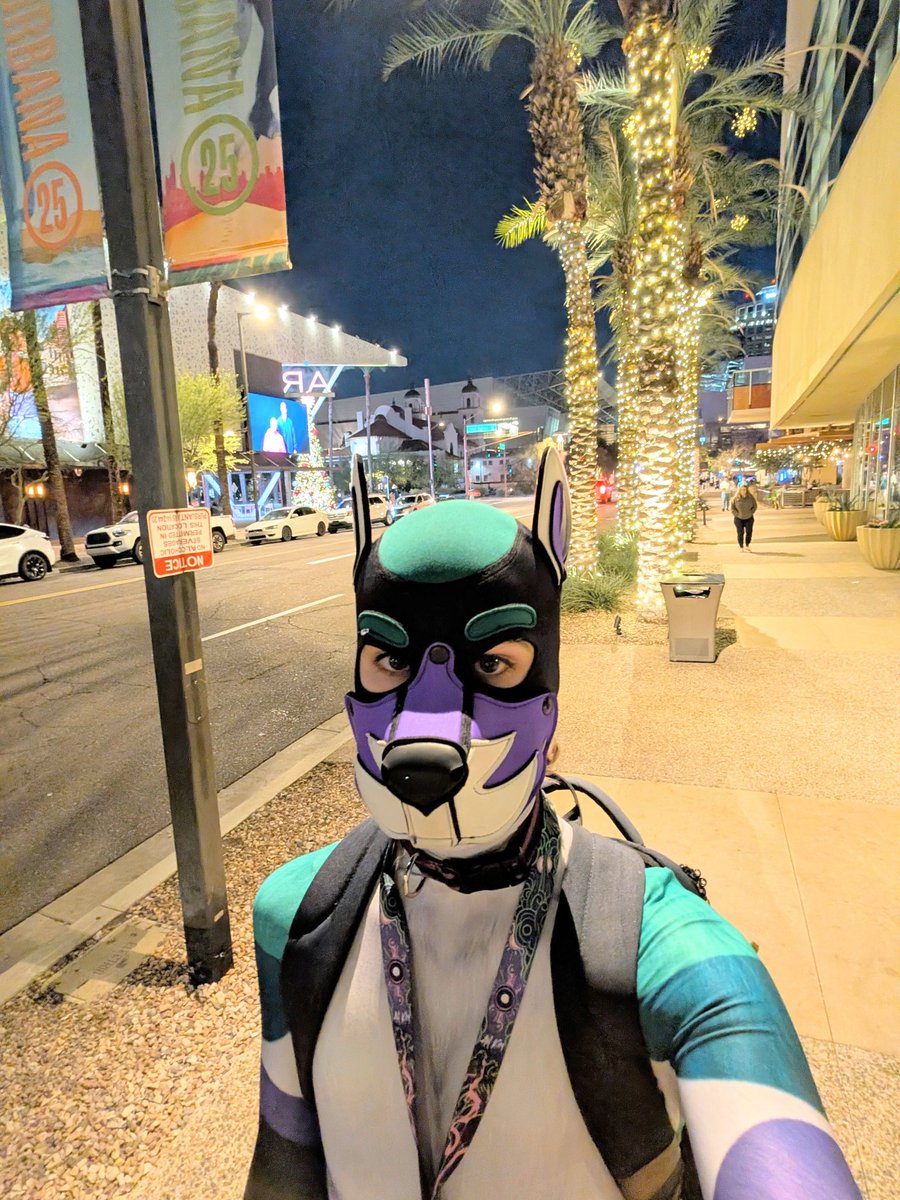 near 🦊🐕‍🦺 🔜 LVFC, FWA tweet media