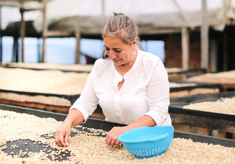 TC Trade Journal tweet media