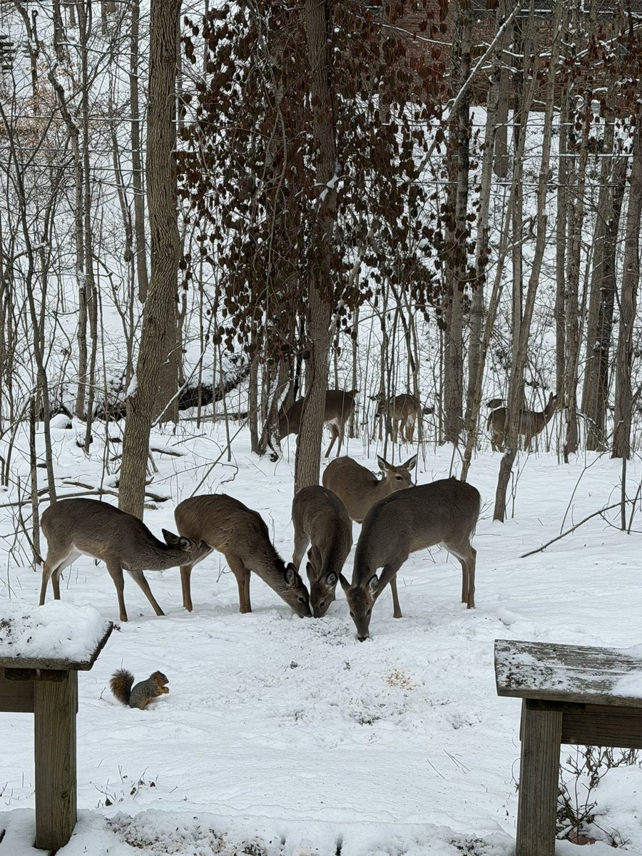 Greg Cooper tweet media