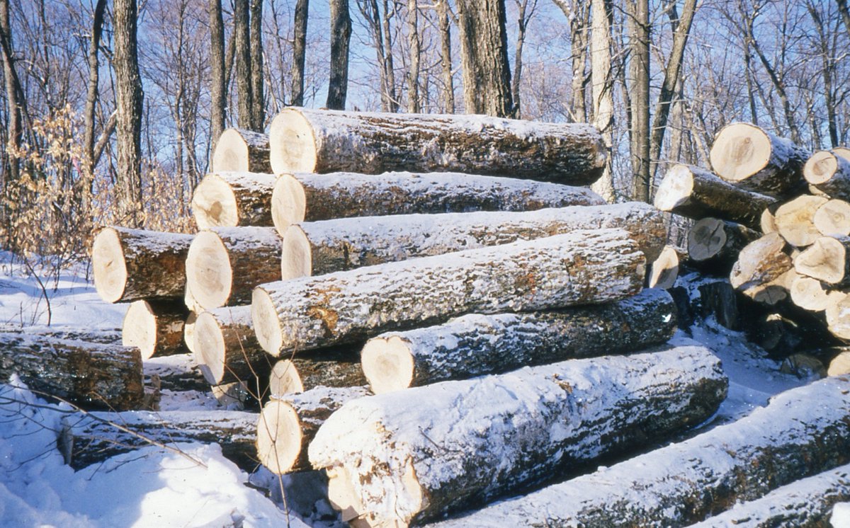 Jim Fischer tweet media