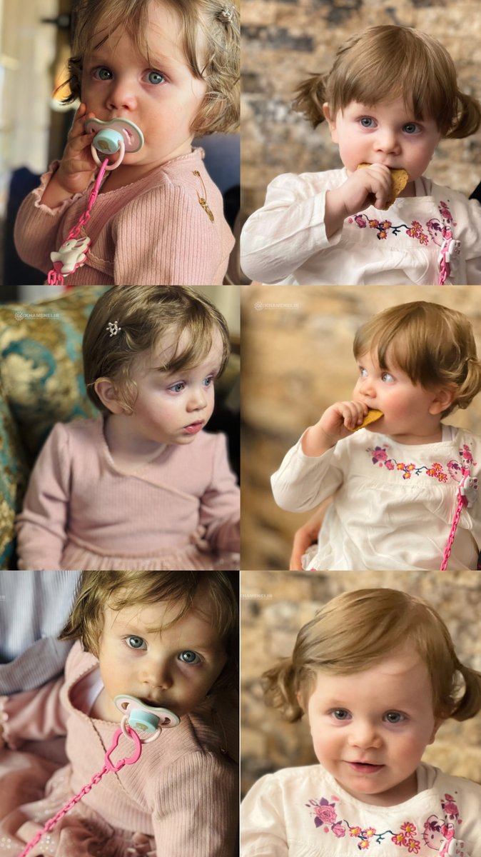 امید نریمانی/ فامیل دور 🟩 ☫ 🟥 tweet media