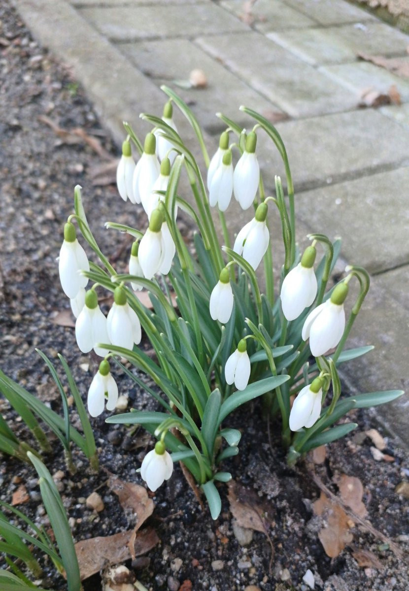 Anna Rake tweet media