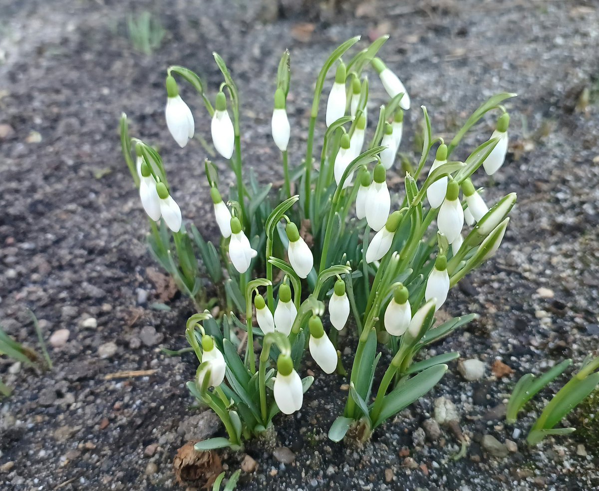 Anna Rake tweet media