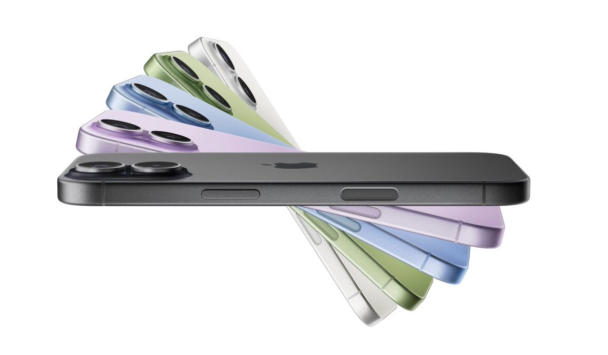 Noah Cat tweet media