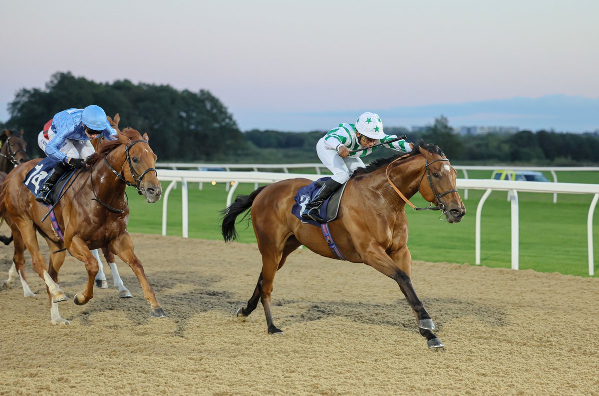 AWChampionships tweet media