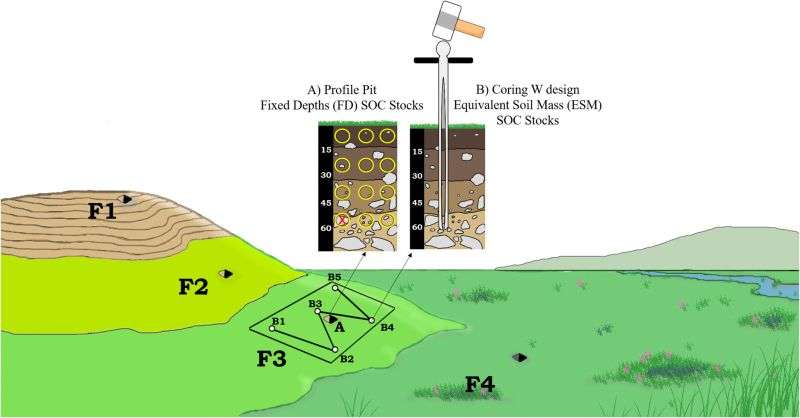 Soil Use and Management tweet media