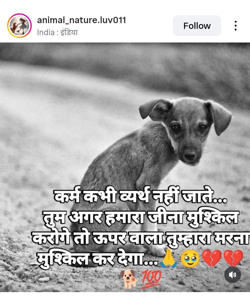 mahakaliwarrior's tweet photo. #StrayDogs #JusticeForStrayDogs https://t.co/eJRfd71N6N