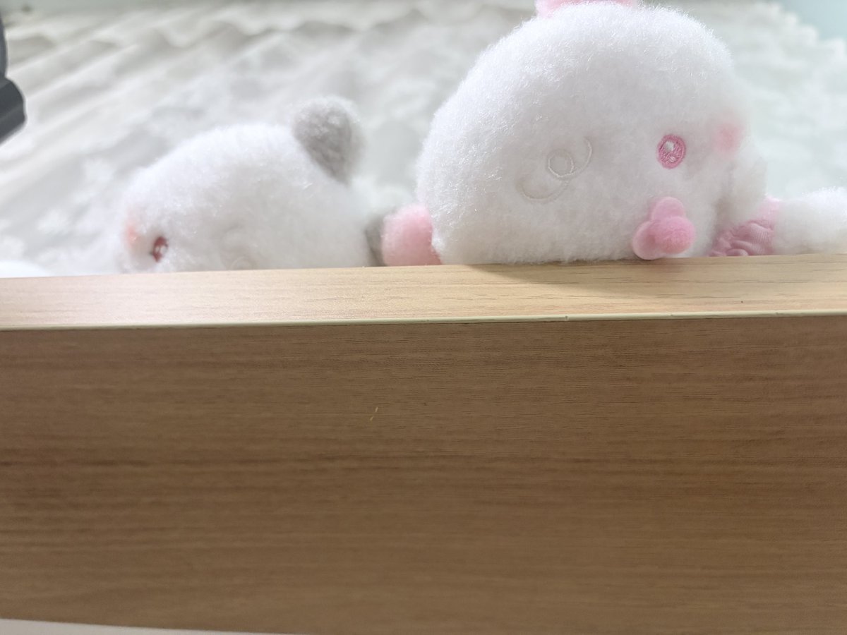 뒹굴거리가가 침대에 머리 쿵햣는게
와기들이 괜찮냐고 걱정해줌