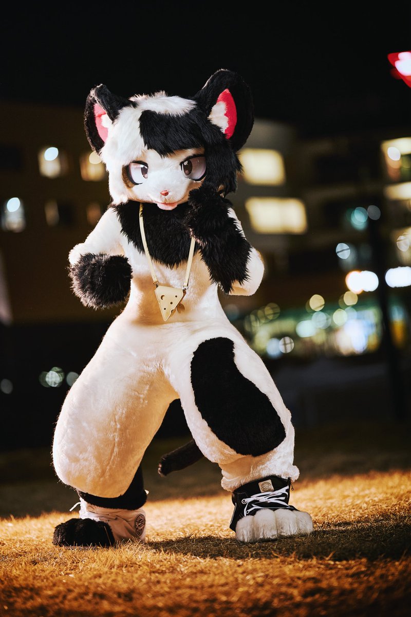 Boy🐭🧀 tweet media