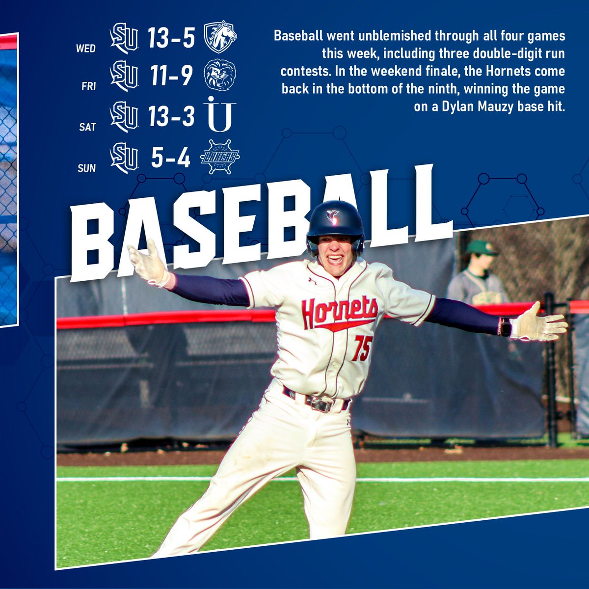 Shenandoah Hornets tweet media