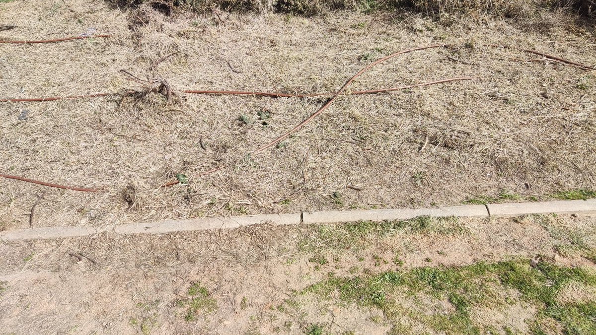 #Mostoles 

¿ Zonas verdes ?

El mantenimiento de una ciudad tan grande no es sencillo ni barato. 

Pero

No se hace desde la publicidad y las fotos. 

Se hace pisando calle y trabajando con los vecinos y vecinas. 

Un Móstoles vivible para todos.
