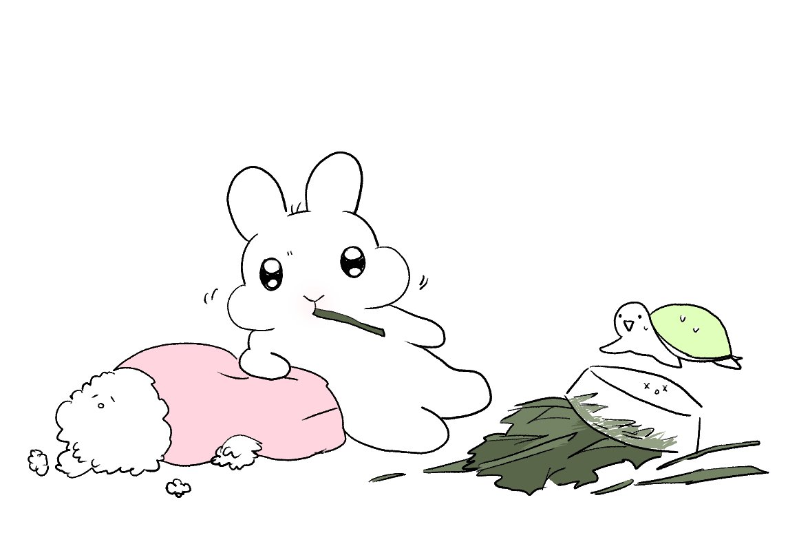 톡겨농장 tweet media