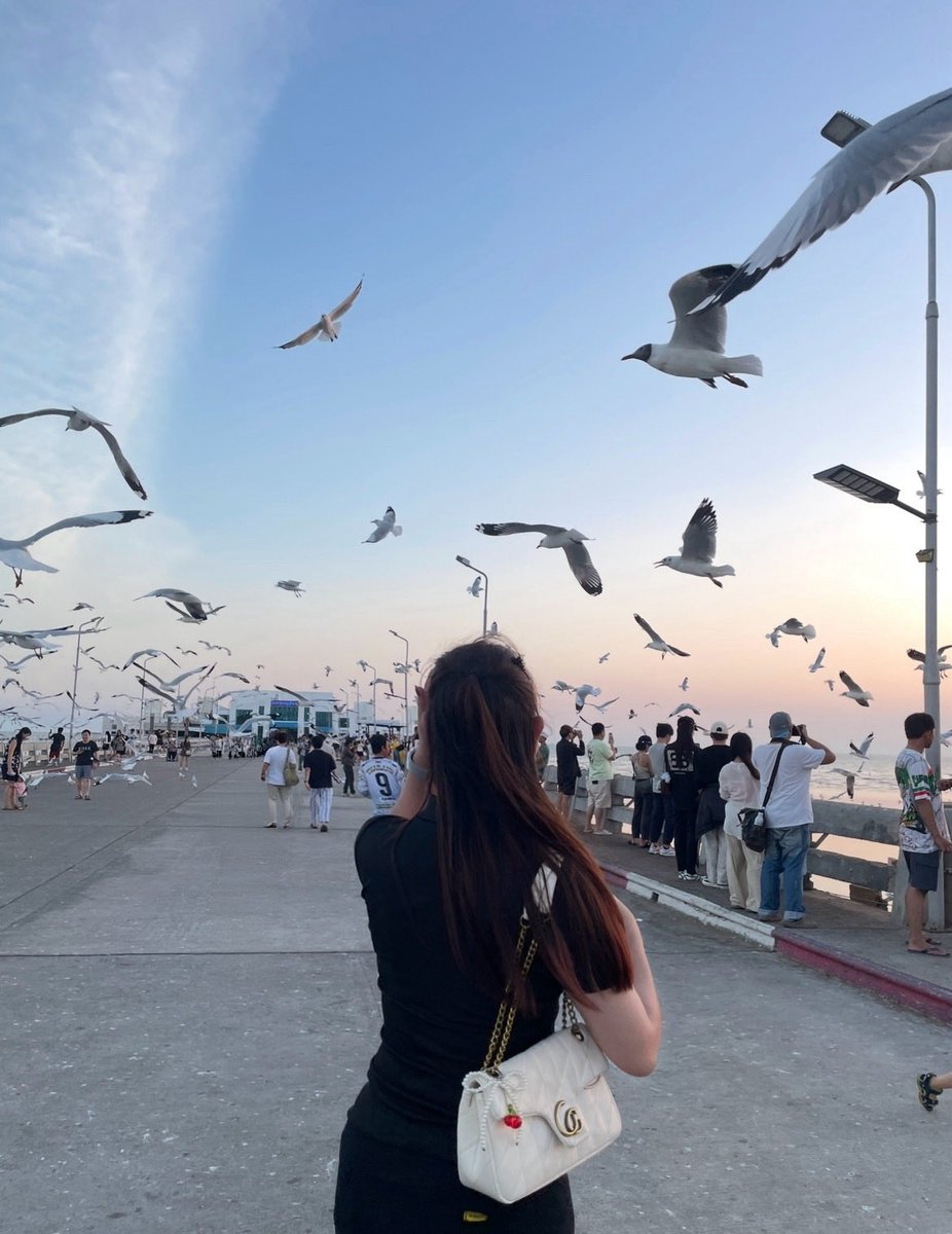 risalureax's tweet photo. 📸🕊️⛅️ #สมุทรปราการ #บางปู #แพรกษา https://t.co/m1MIf8IPU1