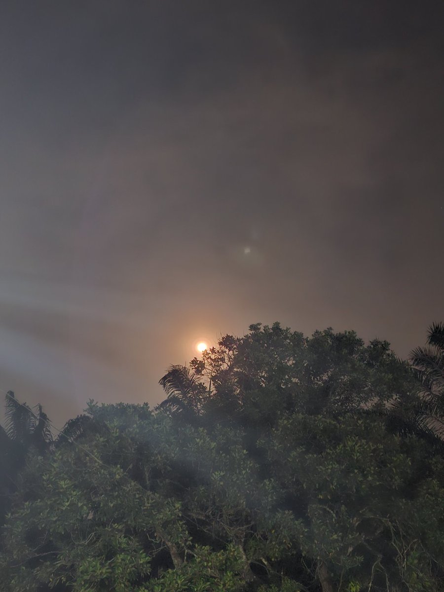 thee_guns's tweet photo. Rembulan Malam Menyapa di malam ini

#FYP https://t.co/1jfeA9JULG