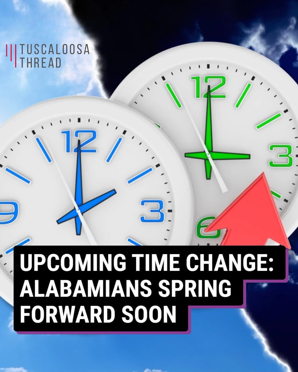 Tuscaloosa Thread tweet media