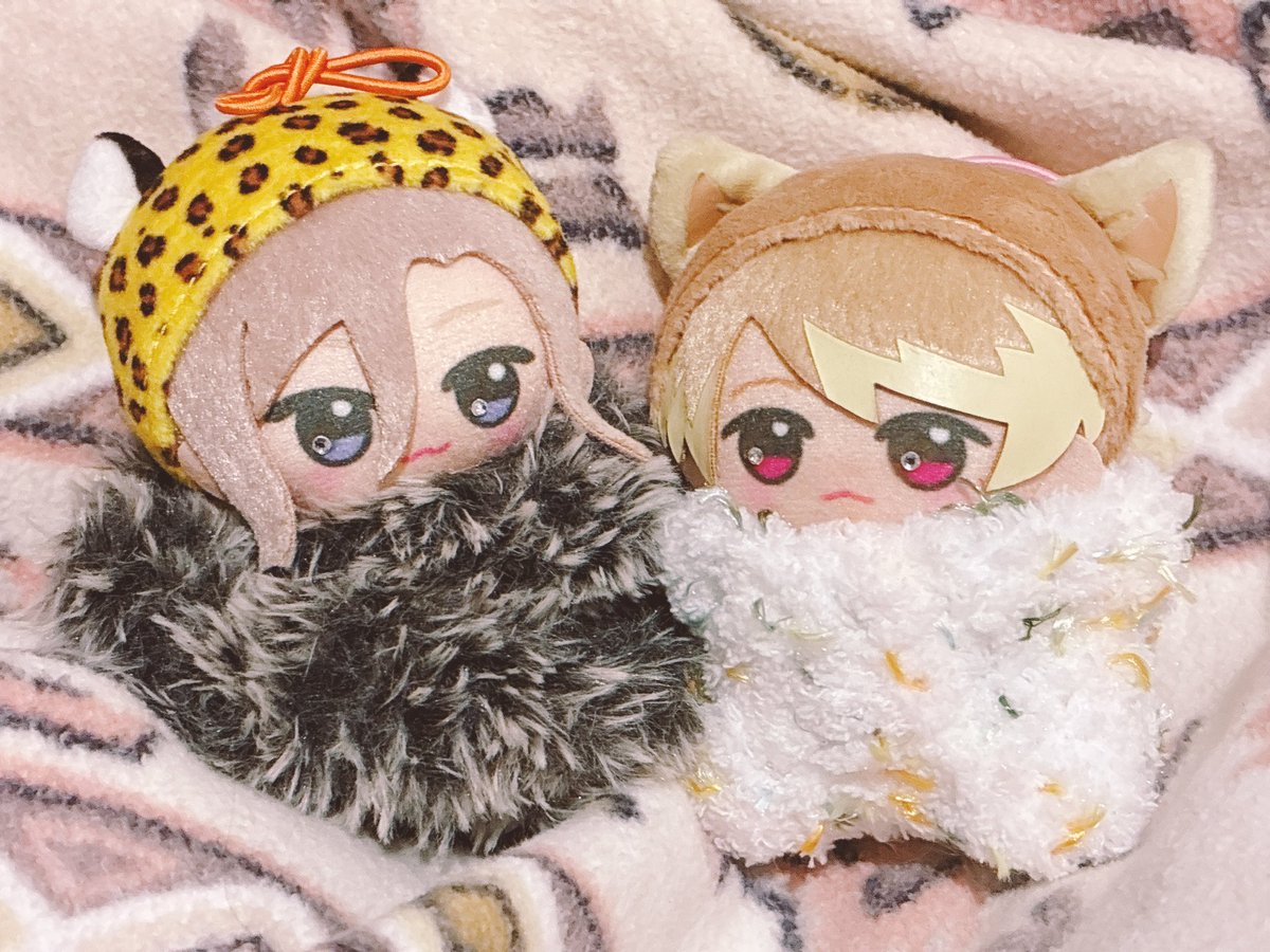 usaka🐇低浮@ tweet media