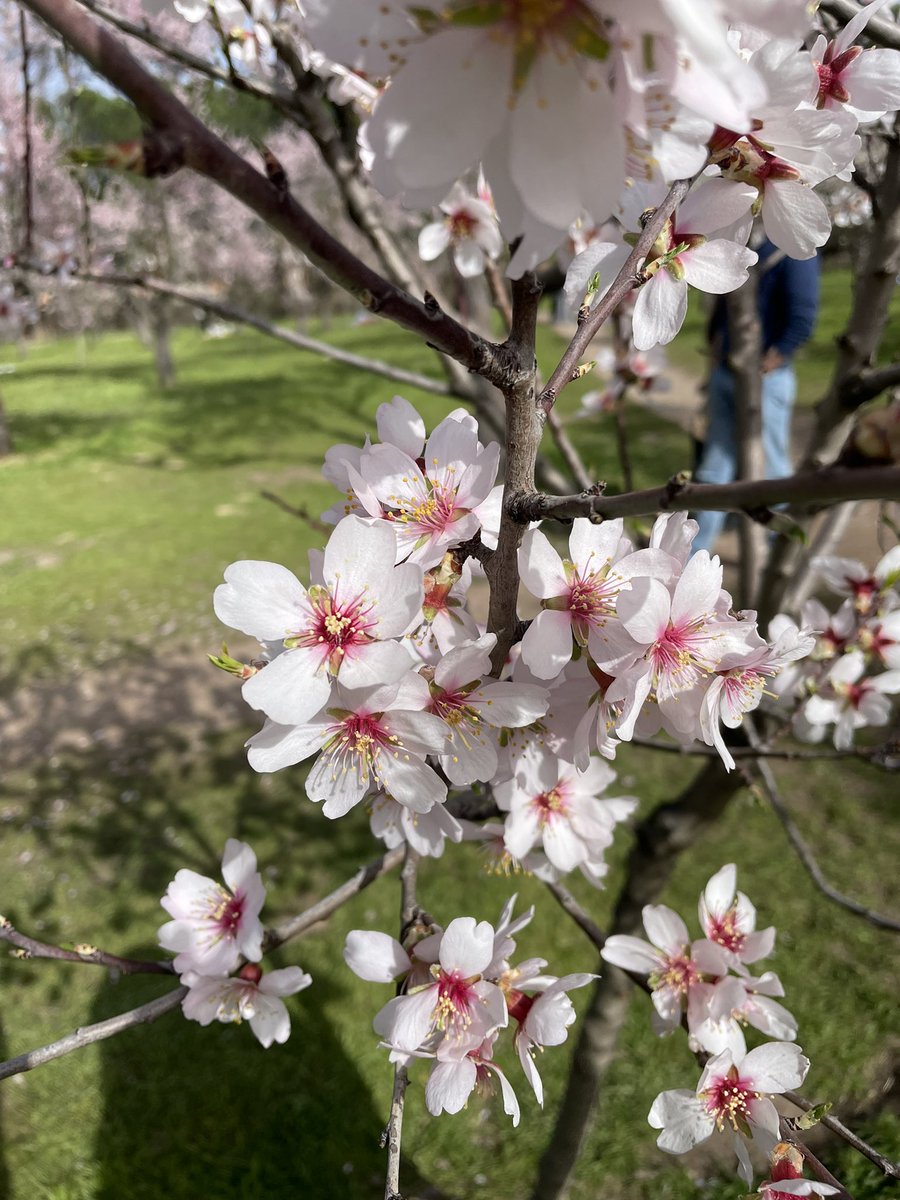 Gregoire 🏳️‍🌈 tweet media