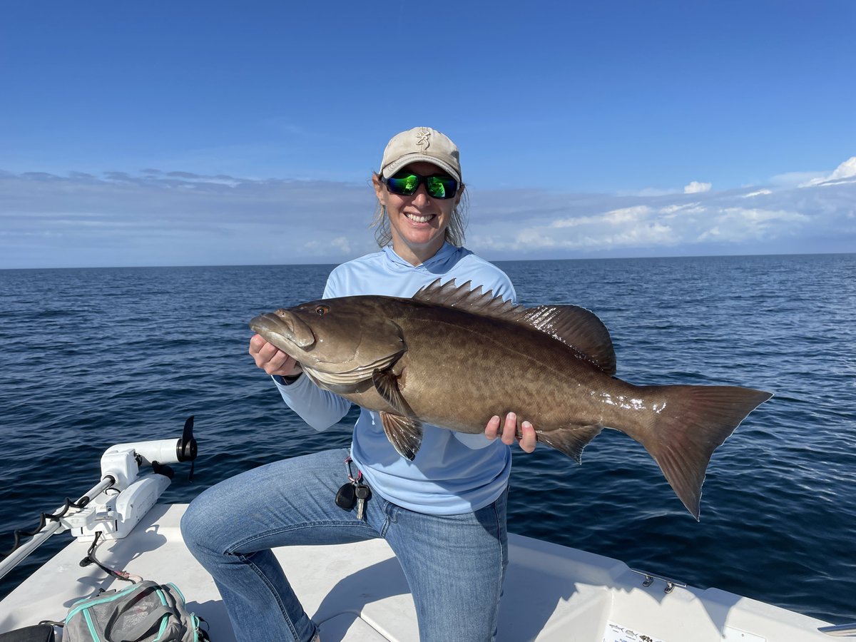 MyFWC's tweet photo. This week, we’re hosting workshops to discuss Gulf recreational gag grouper management. Join us in #Homosassa, #TarponSprings, and #MadeiraBeach, to share your ideas and help shape future management.
For more information on workshop dates and times, please visit: https://t.co/RZICI3q2Wd
If you cannot attend, you can provide input at our virtual workshop, by submitting comments through our webpage, https://t.co/0EAiuaVqIX, or by emailing Marine@MyFWC.com.