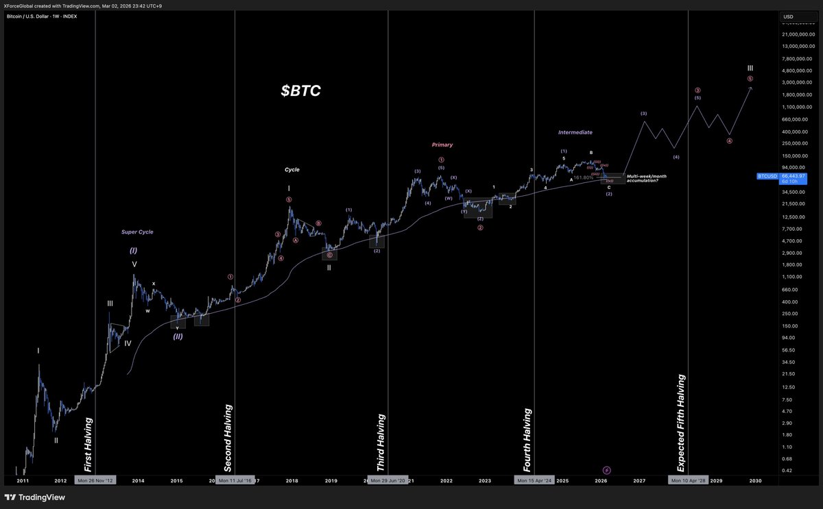 XForceGlobal tweet media