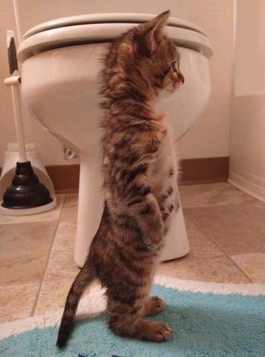 Wincherquid tweet media