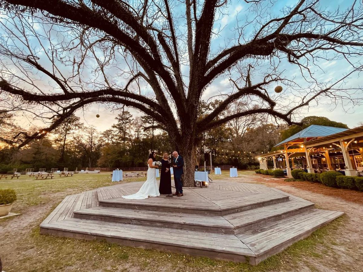 Stephanie MacDonald Clark tweet media