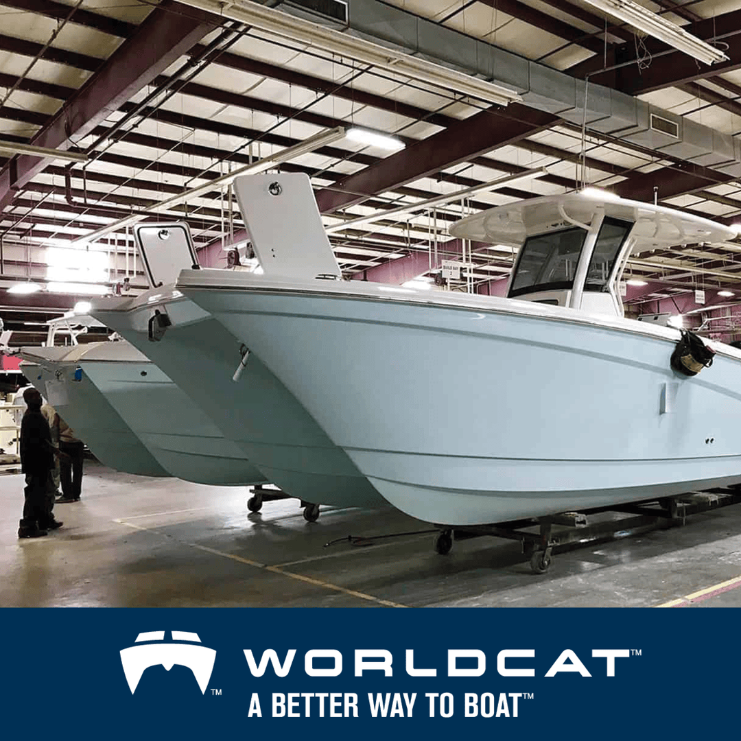 World Cat Boats tweet media