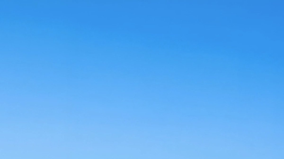 brett goldstein tweet media