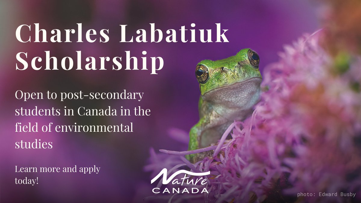 Nature Canada tweet media