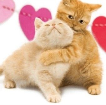 calma amorzinho vai ficar tudo bem