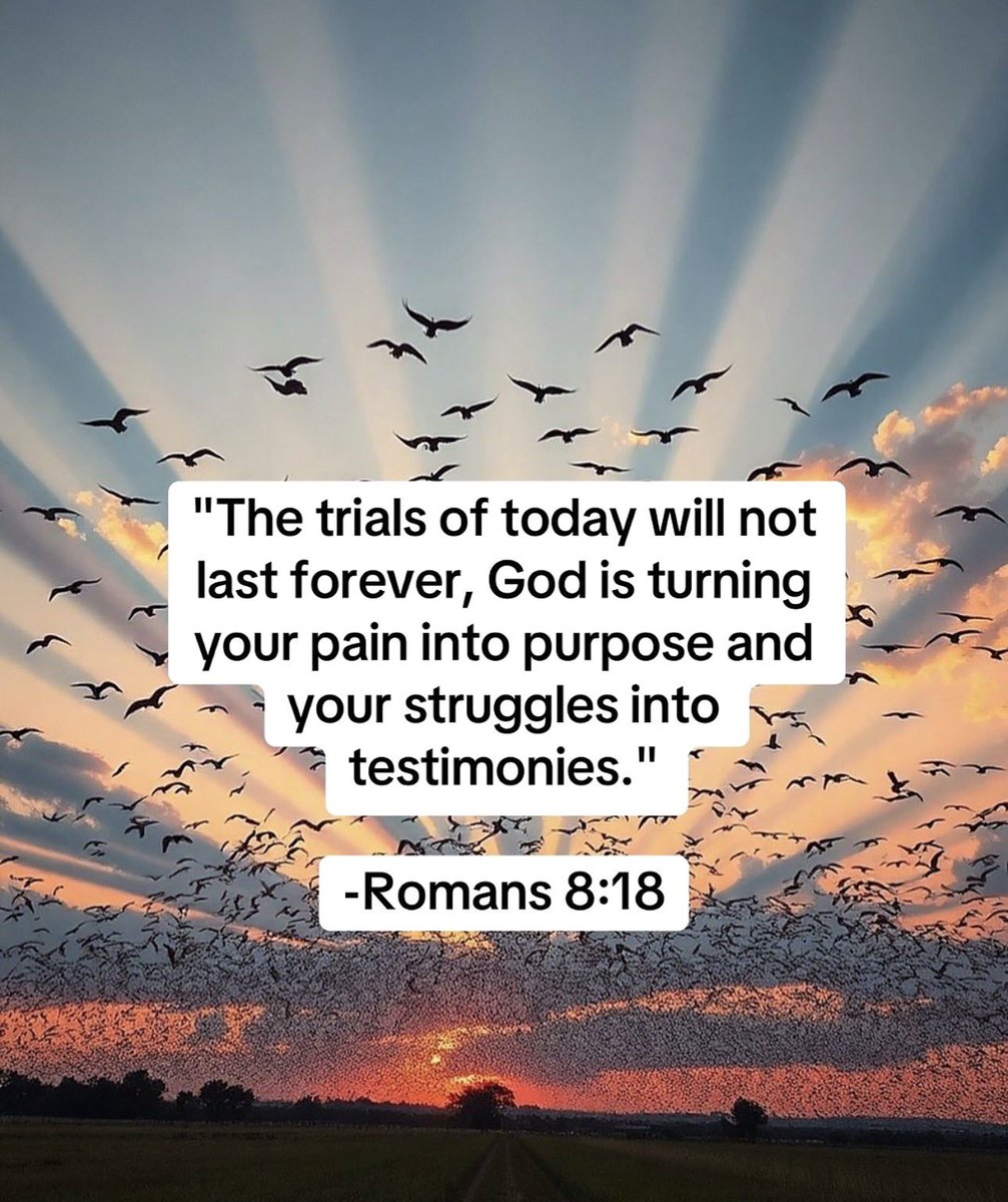 MikeyPerk tweet media